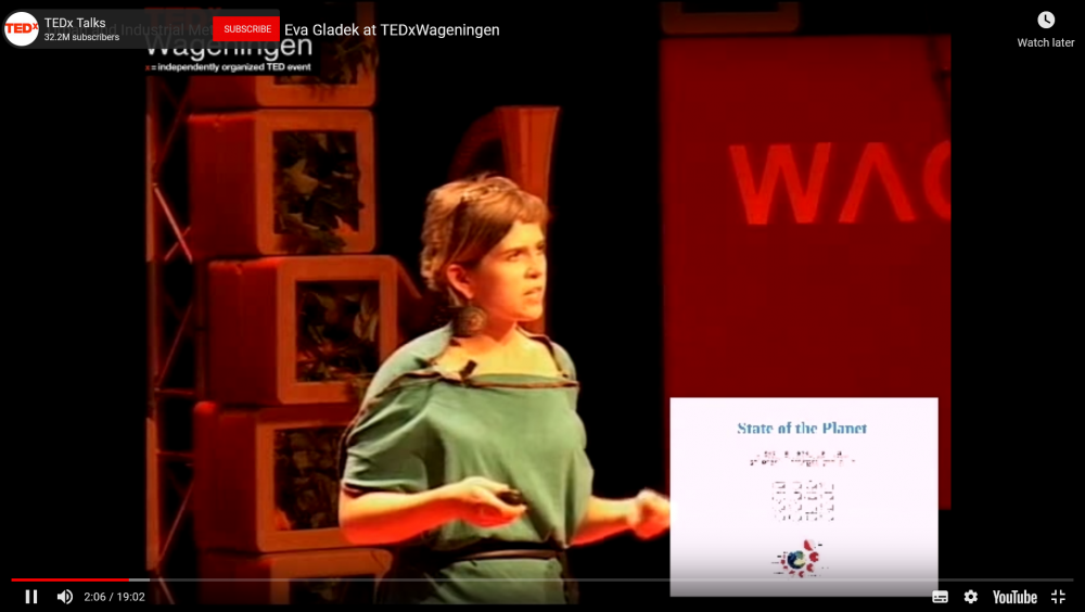 Eva Gladek TEDxWageningen