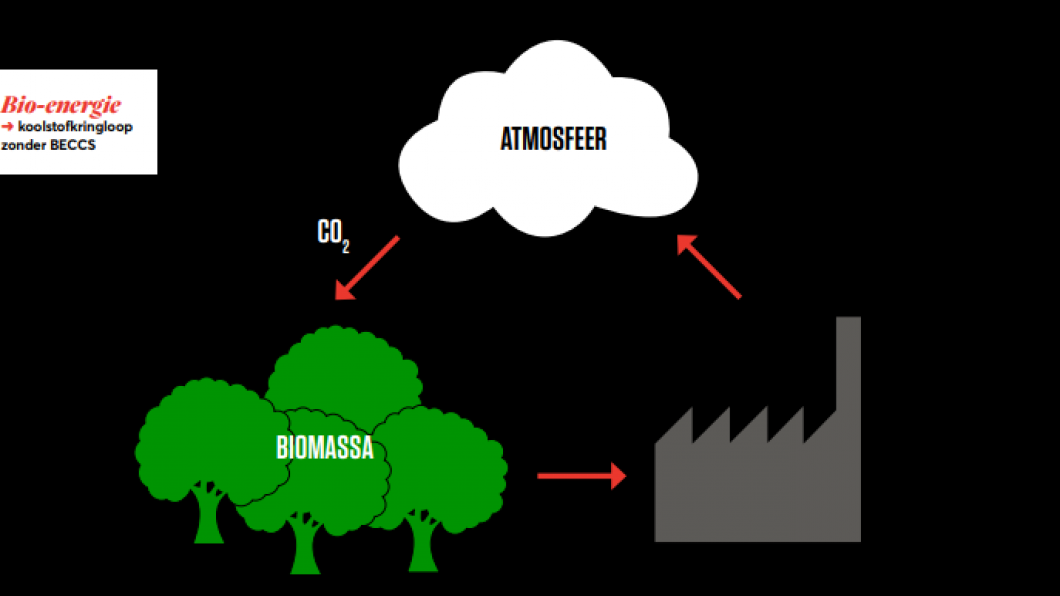 Illustratie Koolstofkringloop zonder BECCS