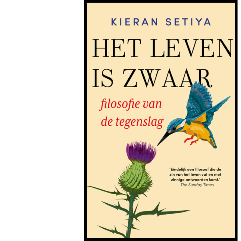 Kieran Setiya - Het leven is zwaar