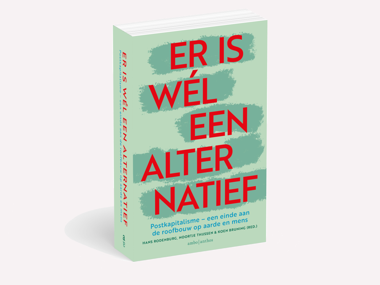 Boek-Er-is-wel-een-alternatief-rodenburg-kapitalisme-cover